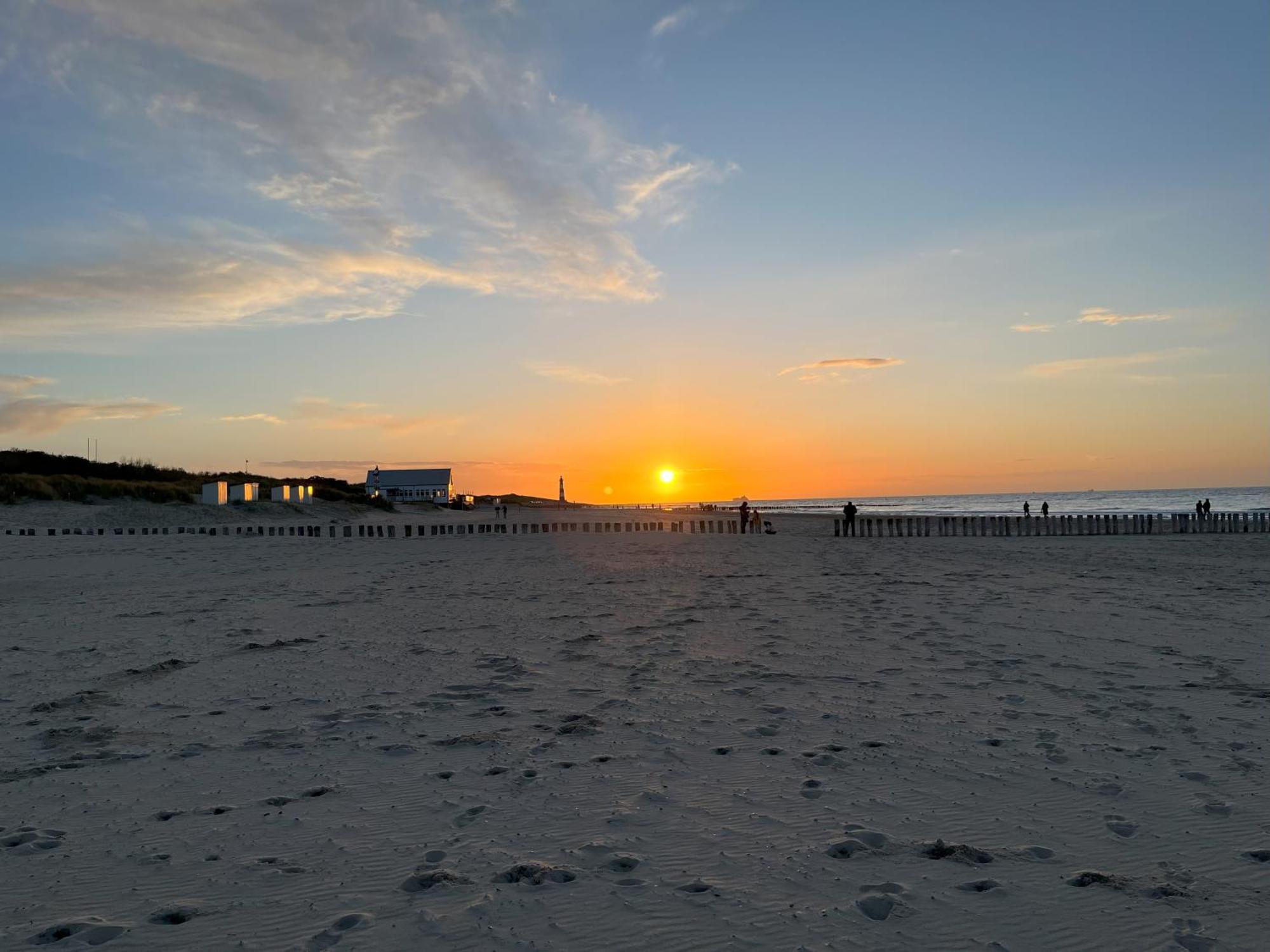 Carpe Diem Schoneveld - - Urlaub Mit Hund Breskens